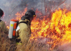 Высший класс пожарной опасности установился в Воронежской области