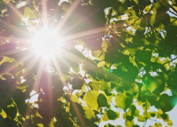 Когда летнее тепло придет в Воронежскую область рассказал главный региональный метеоролог