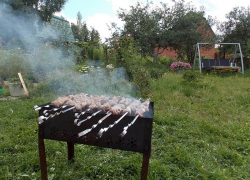 Шашлыки на даче не по правилам обойдутся борисоглебцам в 5 тыс. рублей