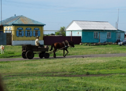 Село Вихляевка Поворинского района отметит 150-летие