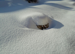 Борисоглебск держит первенство по высоте сугробов в Воронежской области