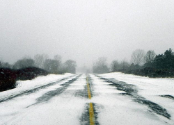 Мокрый снег, туман и гололедица ожидаются на территории Воронежской области
