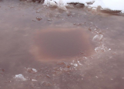 В Воронеже на заседании Совета по никелю обсудили красный пруд Новохопёрского района