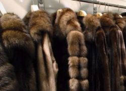 Жительница Новохоперского района украла из магазина шубу, чтобы согреться