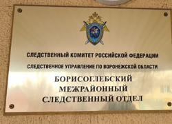 В Борисоглебске сотрудники ФСБ выявили факт злоупотребления должностными полномочиями  директором образовательного учреждения 