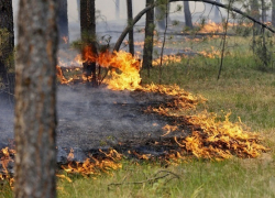Последний летний месяц станет самым «горячим» для Воронежской области