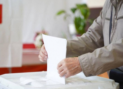 Кто выдвинулся на праймериз «Единой России» от Грибановского, Поворинского и Терновского районов