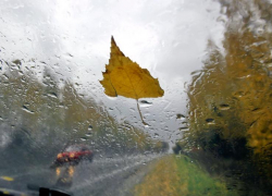 К концу недели от жаркого лета в Воронежской области останутся лишь воспоминания