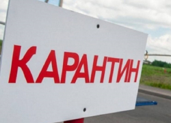 Еще в одном селе Борисоглебского округа обнаружили очаг бешенства