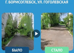 В Борисоглебске коммунальщики попилили аварийное дерево и оставили его на тротуаре