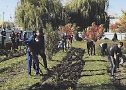 Последняя суббота октября в Терновском районе закончилась масштабным субботником