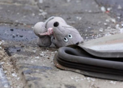 В Новохопёрском районе в аварии пострадало три человека