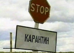 Бешенство подбирается к Борисоглебску