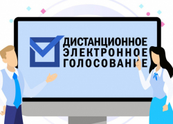 Впервые на выборах в Воронежской области будет применено дистанционное электронное голосование