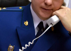 Прокуратура Воронежской области запустила горячую линию по голосованию по поправкам в Конституцию