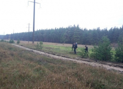 В Борисоглебске «тихая охота» унесла жизни двух грибников за неделю