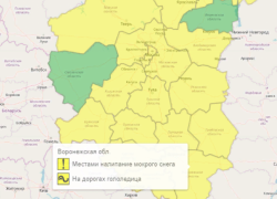 В Воронежской области вновь объявили жёлтый уровень погодной опасности