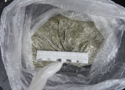 Борисоглебца будут судить за изготовление и  хранение крупной партии марихуаны