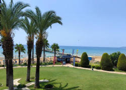 Лето-2025: у воронежцев вырос интерес к странам Африки и Азии