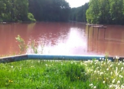 В поселке Грибановский вода в пруду приобрела кроваво-красный цвет