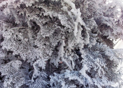 До -10°С проморозит Борисоглебск на новой рабочей неделе