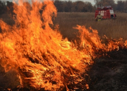 В июле в Воронежской области стоит ждать повышения пожароопасности