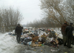 Мусорный апокалипсис в Грибановском районе запечатлел на фото наш читатель