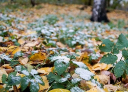 МЧС предупредило жителей Воронежской области о надвигающихся заморозках