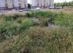 «Родина» добилась ликвидации зловонного болота во дворе новостроек в Борисоглебске