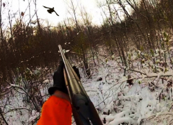 Из-за АЧС в Новохоперском районе запретили охоту