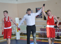 На турнир по боксу в Грибановке приехали спортсмены из пяти регионов