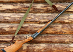 В Воронежской области прекратили выдачу разрешений на добычу птиц