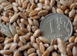 Аграрии Воронежской области получат в 2019 году финансовую поддержку в размере 7,5 млрд. рублей