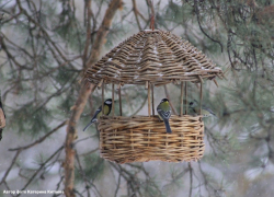 Хопёрский заповедник объявил конкурс 