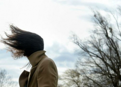 Спасатели предупредили жителей Воронежской области об опасном ветре 