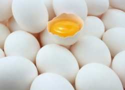 Первое товарное яйцо получено на борисоглебской птицефабрике