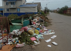  Борисоглебск безнадёжно отстал от соседей даже  в качестве  мусорных контейнеров 