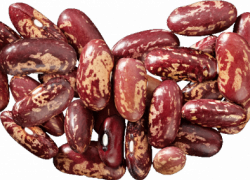 13 удивительных свойств  обычной фасоли 