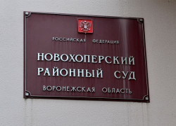 Несовершеннолетней маме вынесли приговор в Новохоперском суде