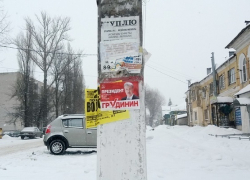 В Борисоглебске администрация призвала партии очистить город от визуального мусора 