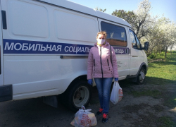 В Борисоглебском городском округе пенсионерам на самоизоляции выдали 467 продуктовых наборов