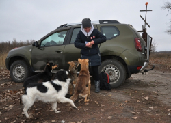 В Новохопёрском районе брошенные собаки охраняют бывший лагерь геологоразведчиков УГМК