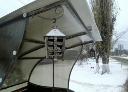 В Борисоглебске установили второй остановочный павильон, стилизованный под фаэтон