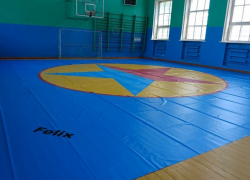 В Борисоглебскую школу пришло Самбо