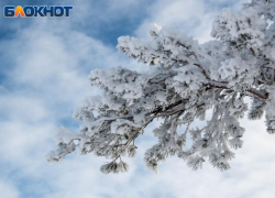 Антициклон определит погоду на новогодней неделе в Воронежской области