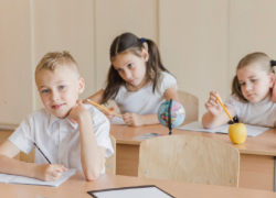 В Воронежской области посчитали прошлогодних школьников