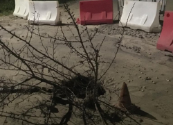 На «подземный ход в другой мир» пожаловались жители Юго-Восточного микрорайона в Борисоглебске