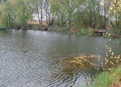 Тело пропавшего в Терновском районе пенсионера нашли в реке