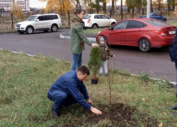 Борисоглебские военнослужащие присоединились к озеленению города