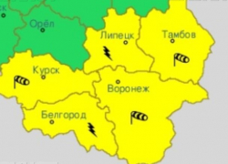 Желтая опасность снова грозит Воронежской области